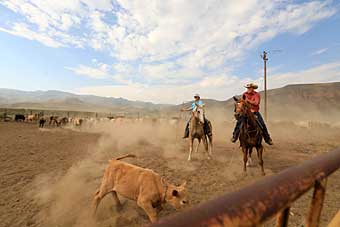 Alder Creek Ranch Nevada