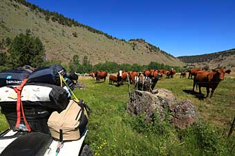 Steens Mountain 4-wheeling