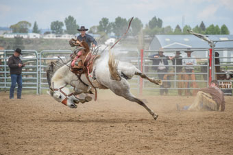 Glen Shelley's Mother's Day Ranch Bronc Riding Bronc, Burns, Oregon