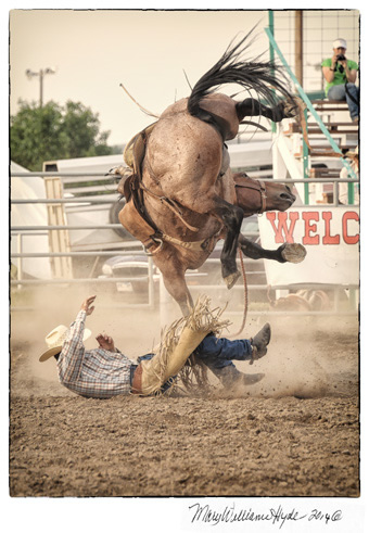 Will James Roundup Hardin Montana