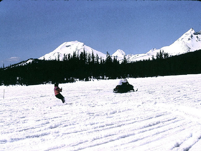 Skijoring