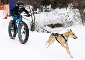 Bikejoring Flathead Valley, Montana