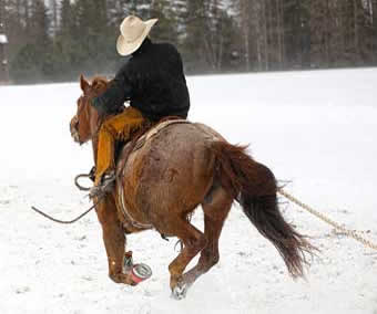 Skijoring in the Flathead Valley, Montana