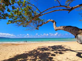 Maui beach