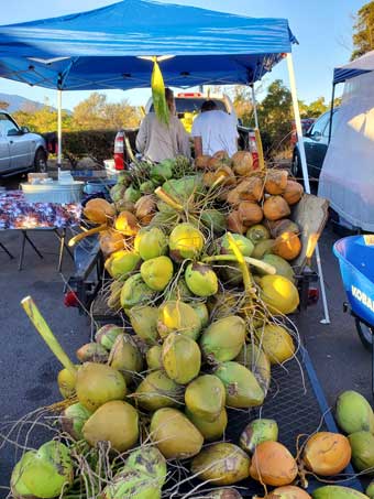 Maui coffee farm and market