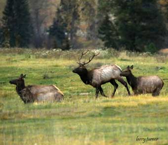 Whitefish and Glacier National Park