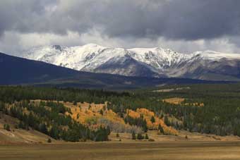 Wisdom and Yellowstone TV Series 1923