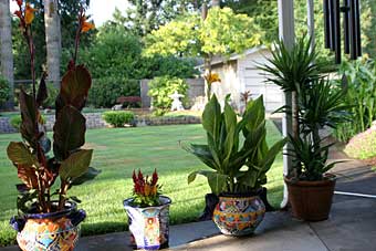 Patio pots