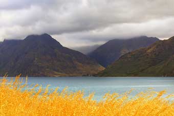 New Zealand, Queensland to the south end