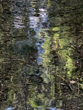 McKenzie River, Oregon, wiggly reflections in the water