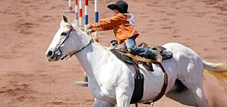 Kekei rodeo