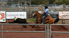 Parker Ranch rodeo/poʻo wai u