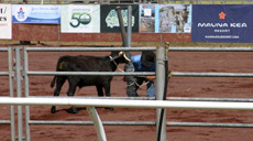 Parker Ranch rodeo/poʻo wai u